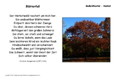 Blätterfall-Morgenstern.pdf